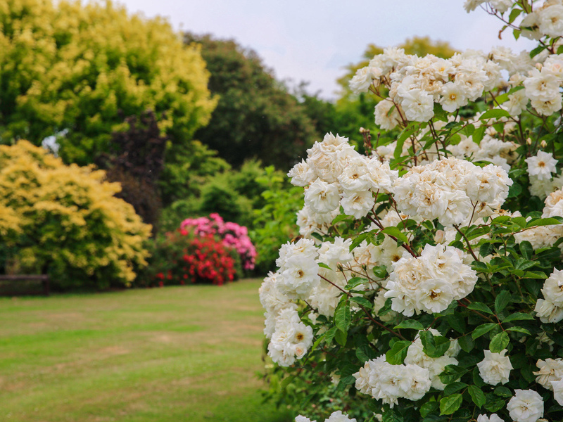 Jardin-du-Mesnil--SMT--M.Harel-7-