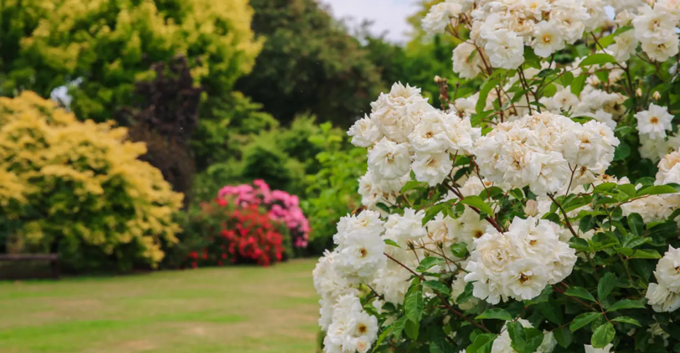 Jardin du Mesnil et Parc Botanique de Bray
