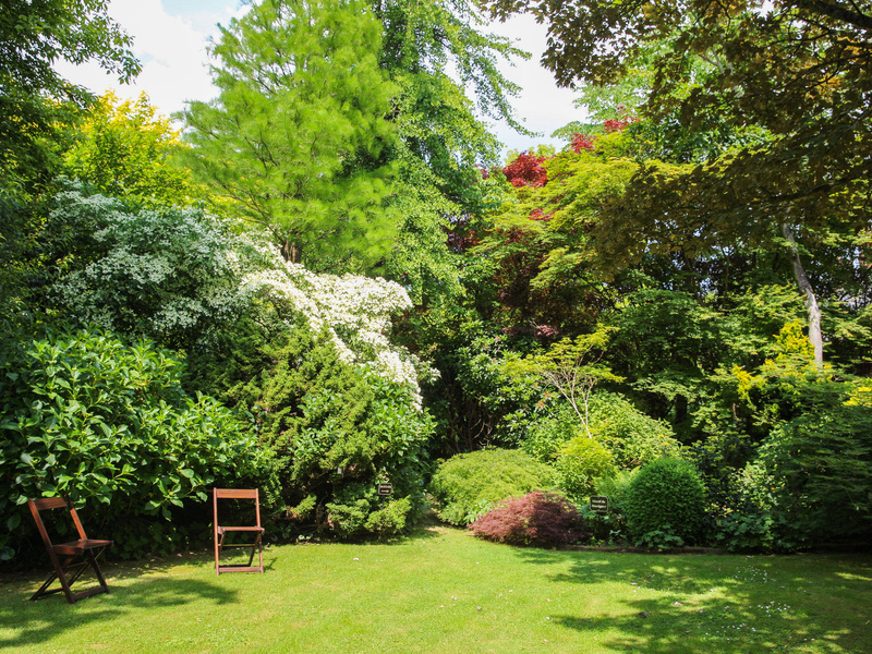 Jardin-du-Mesnil--SMT--M.Harel-7ddb9d5aa1df49f0b838562d46c4e875