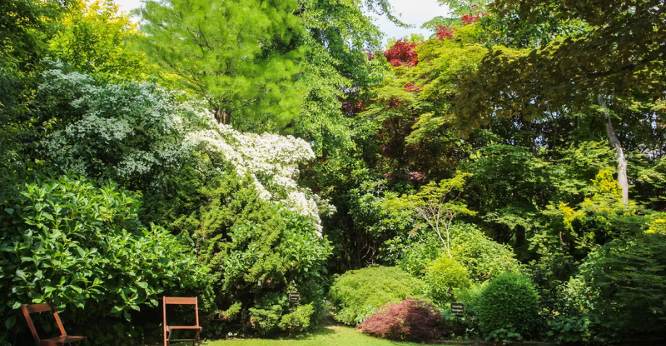 Jardin du Mesnil et Parc Botanique de Bray
