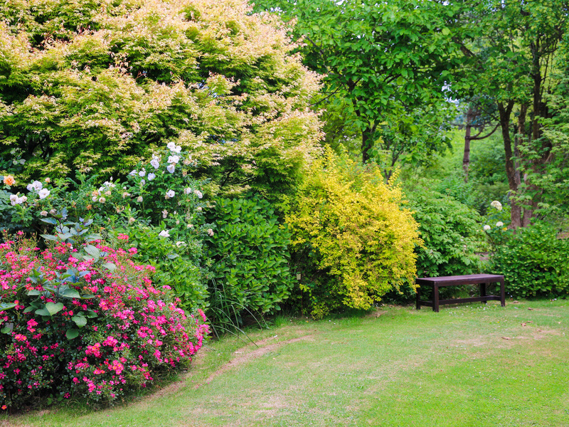 Jardin-du-Mesnil--SMT--M.Harel-4--ac7fba5884f14cc094b90a2346a1a989