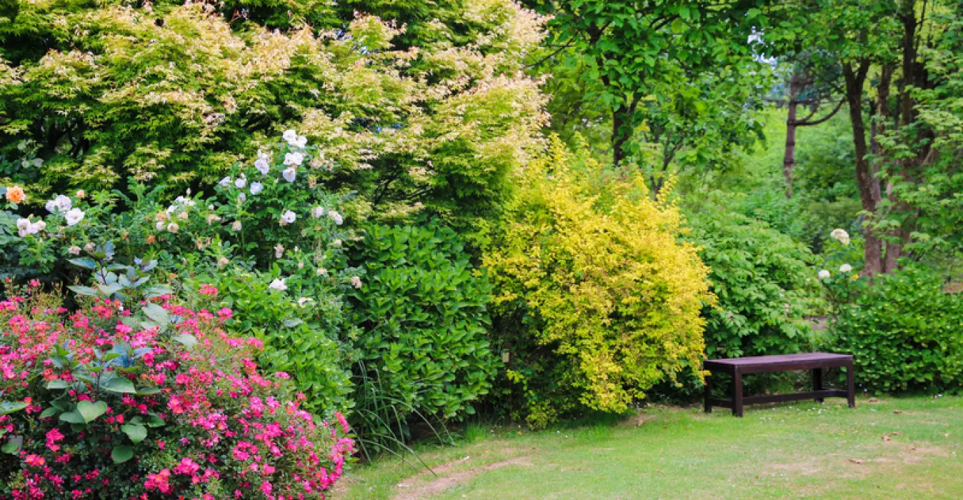 Jardin du Mesnil et Parc Botanique de Bray
