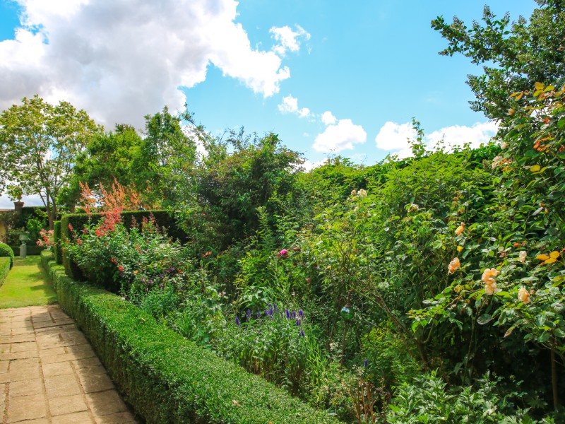 Jardins-d-Angelique--SMA--M-Harel--8-