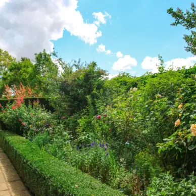 Les Jardins d'Angélique