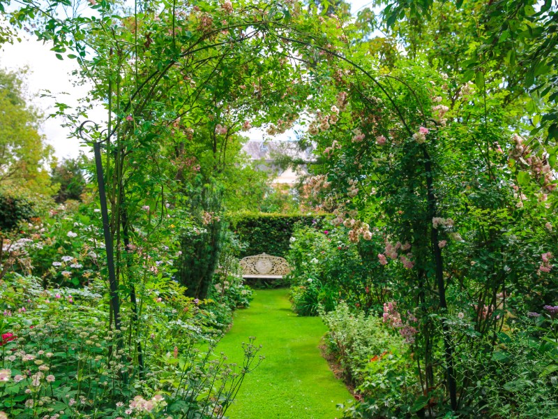 Jardins-d-Angelique--SMA--M-Harel--5-