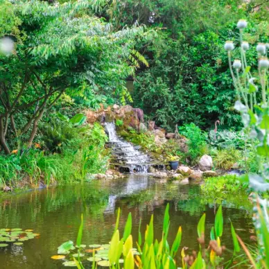 Les Jardins d'Angélique