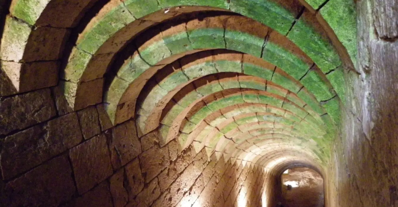 Site Médiéval de Blainville-Crevon
