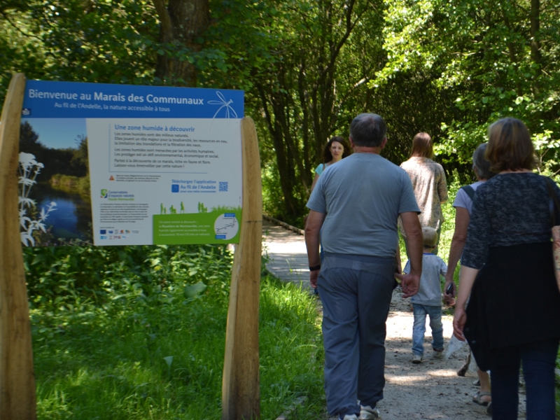 Marais-des-communaux-5-800x600