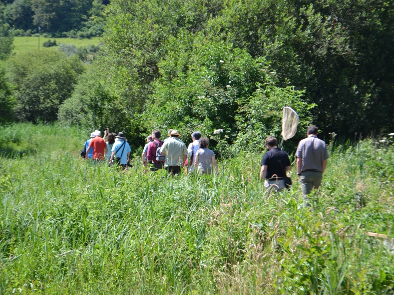 Marais-des-communaux-2-800x600
