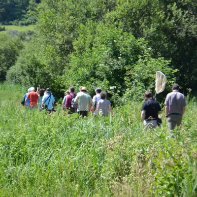Le Marais des Communaux