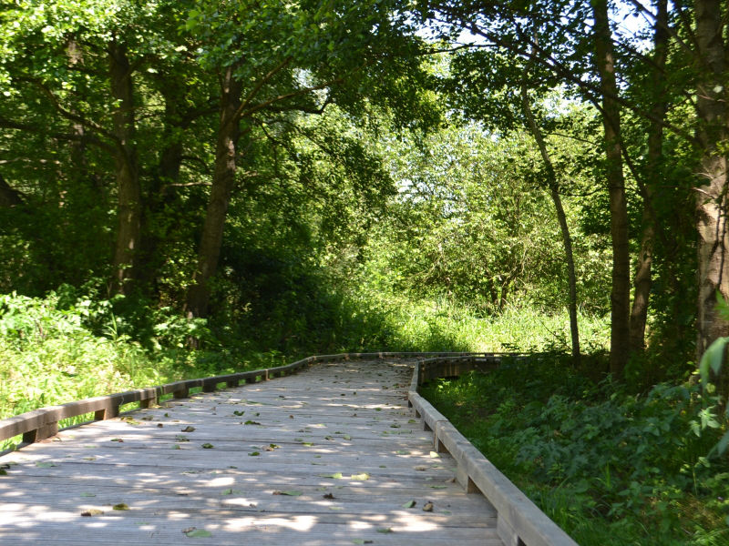 Marais-des-communaux1-800x600