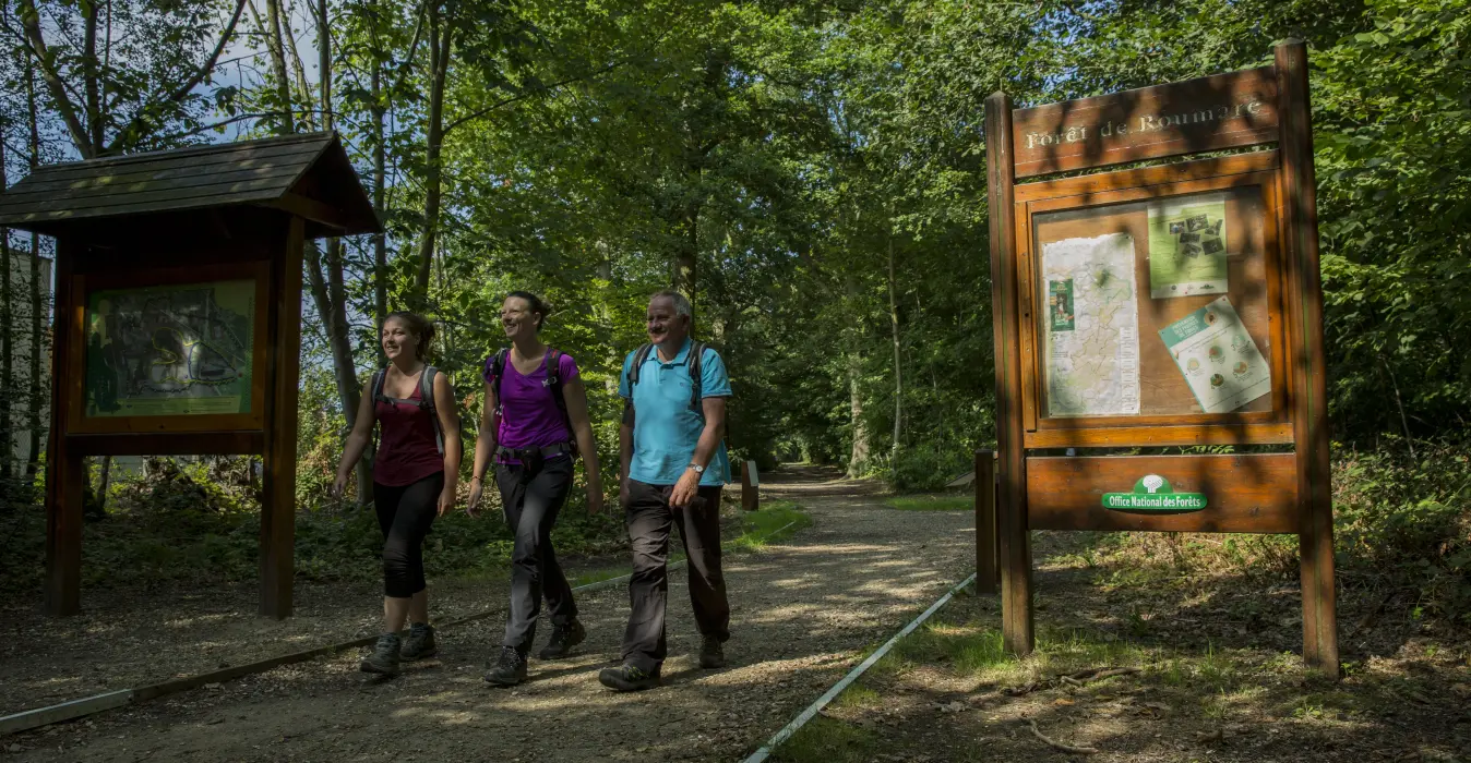 Forêt domaniale de Roumare
