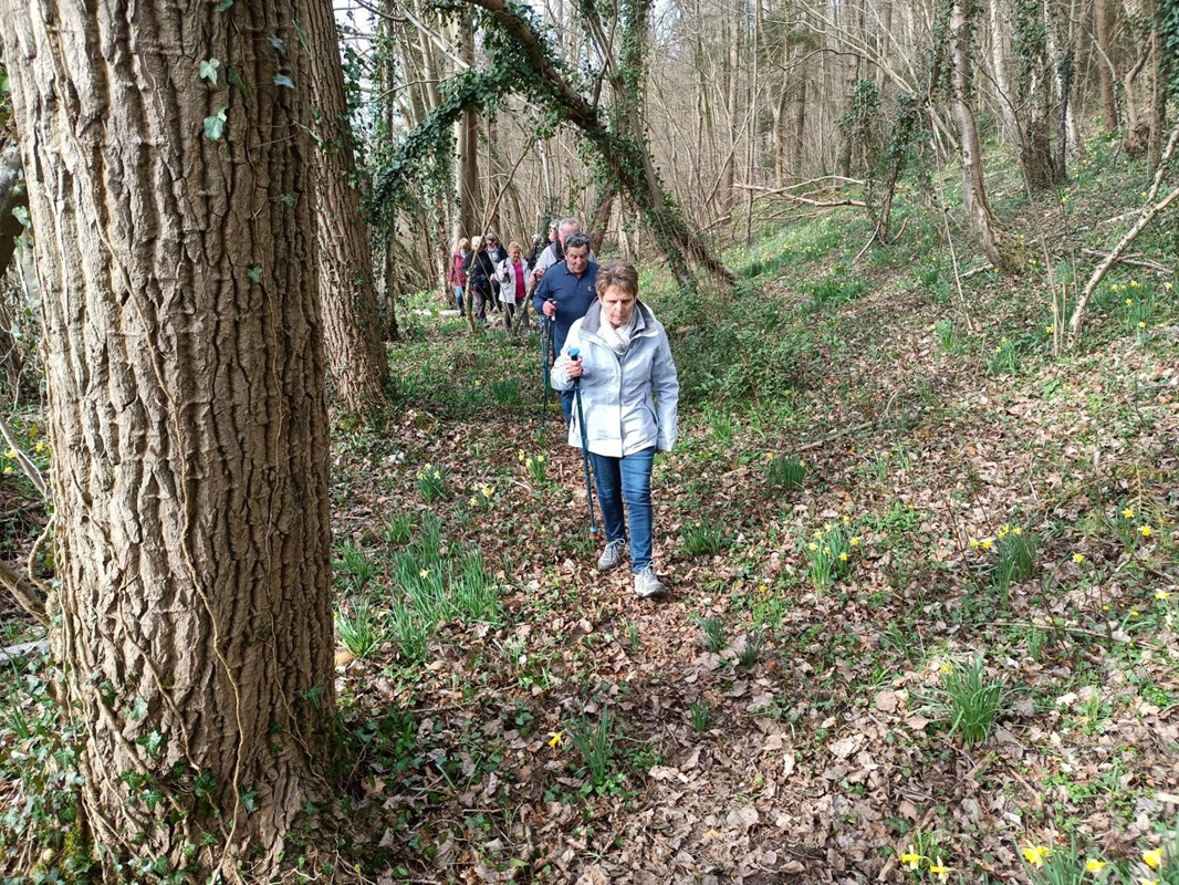 activite-rando--Club-des-aines-clerois-2024