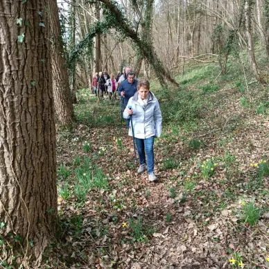 Le Club des Ainés Clèrois