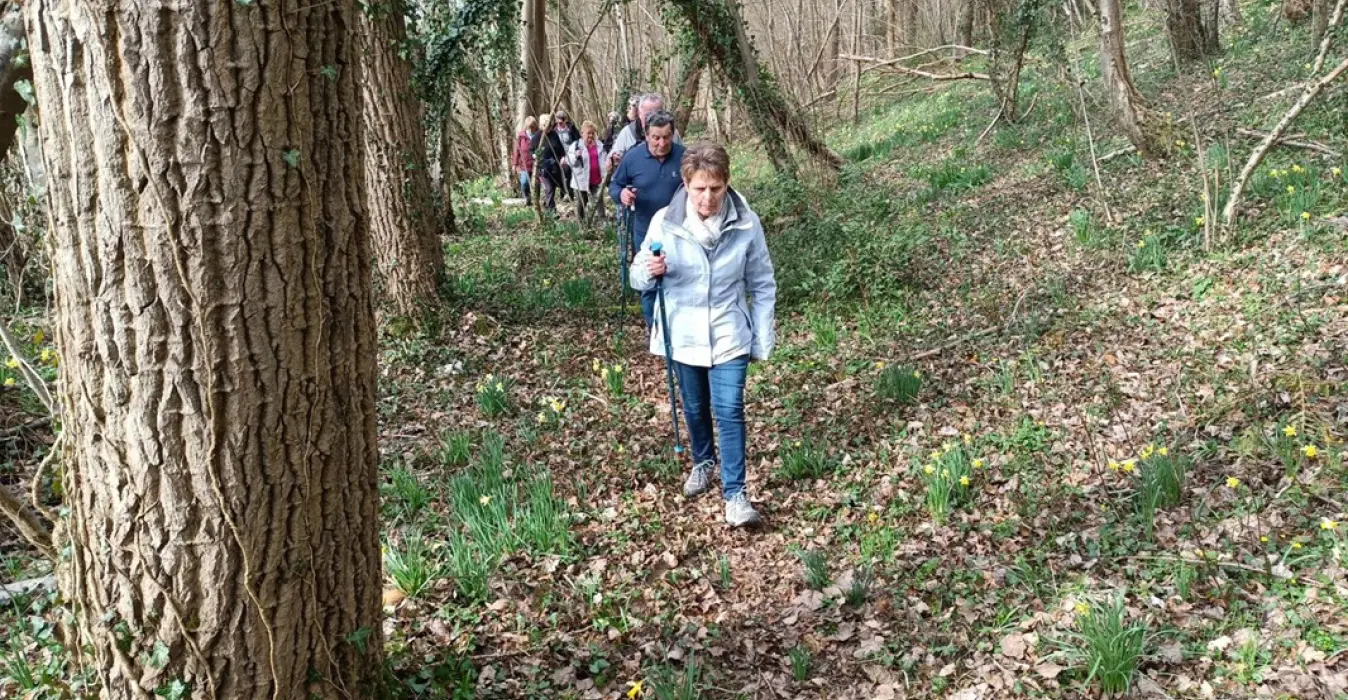 Le Club des Ainés Clèrois
