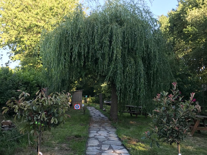 4-Les-Racines-du-Gout-3