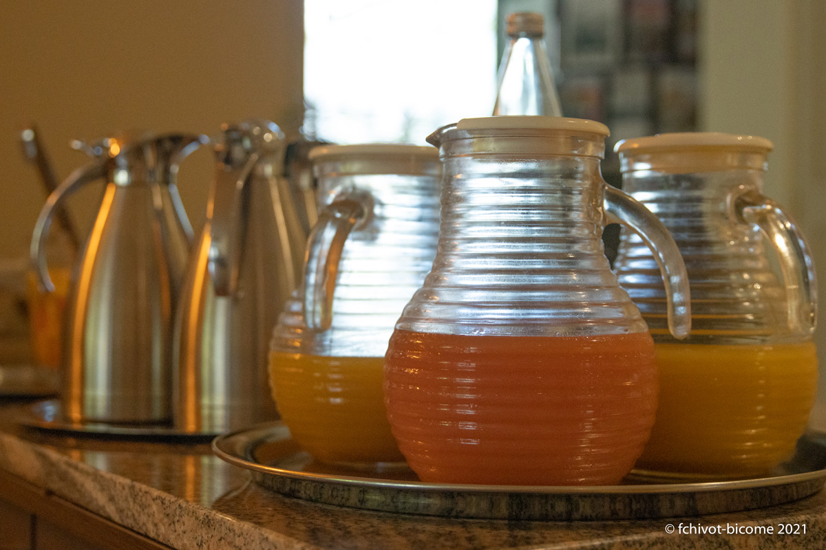 LERELAISDEMONTIGNY--f-chivot-Bicome--25-