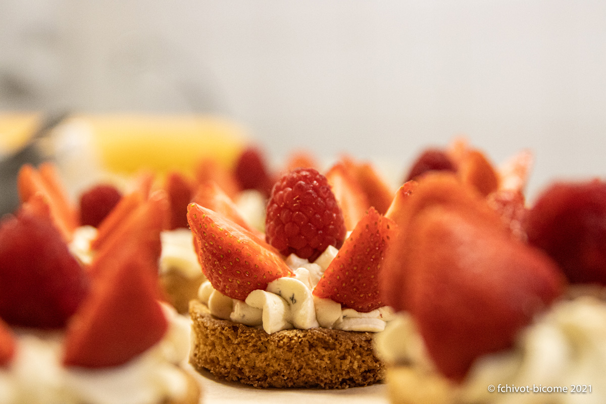 LERELAISDEMONTIGNY--f-chivot-Bicome--13-