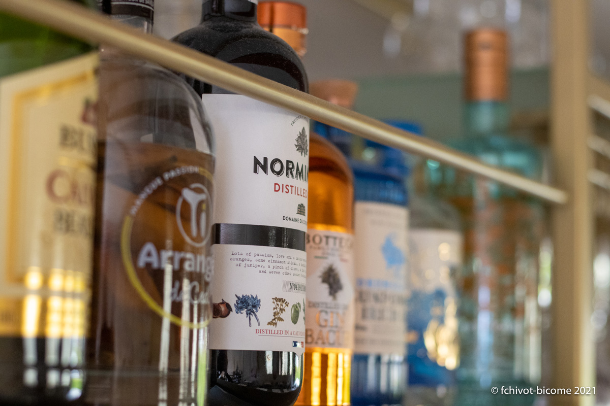 LERELAISDEMONTIGNY--f-chivot-bicome---72-