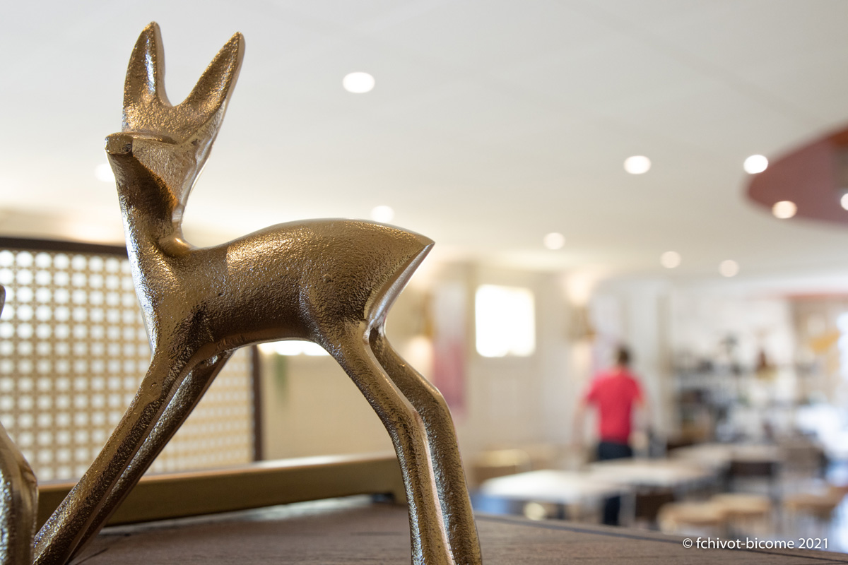 LERELAISDEMONTIGNY--f-chivot-bicome---57-