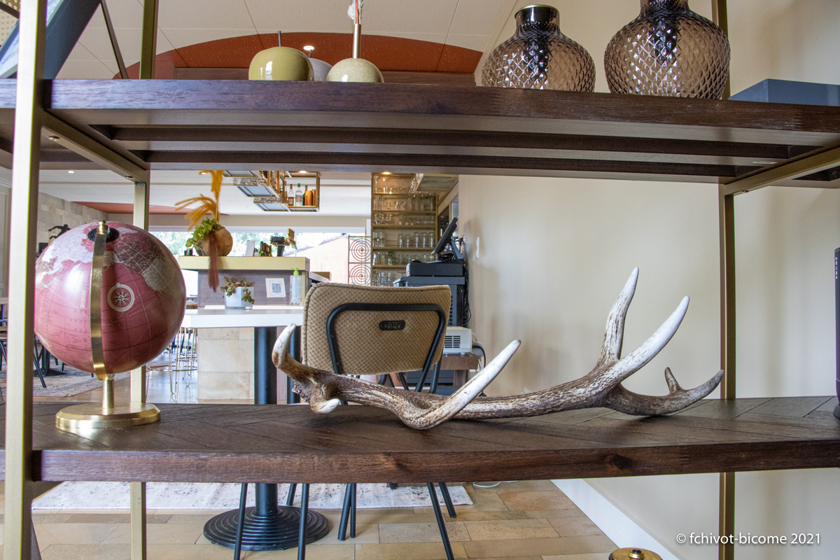 LERELAISDEMONTIGNY--f-chivot-bicome---56-