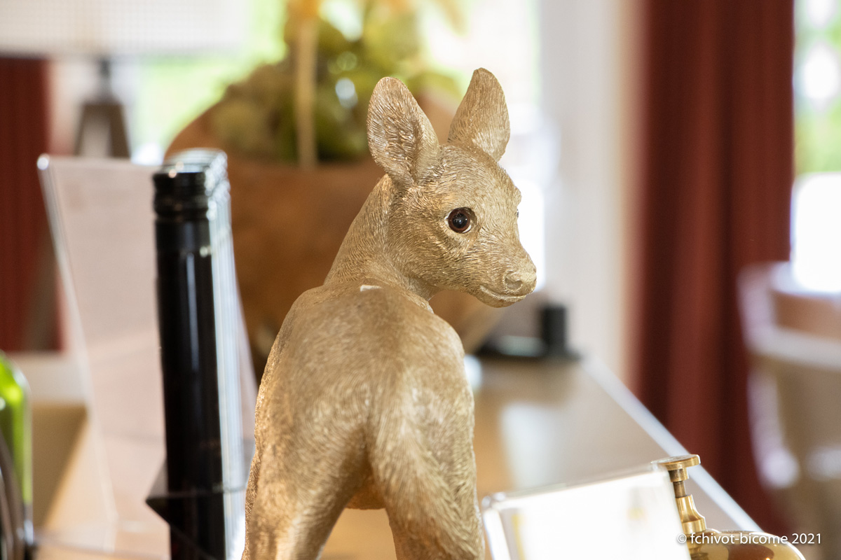 LERELAISDEMONTIGNY--f-chivot-bicome---54-