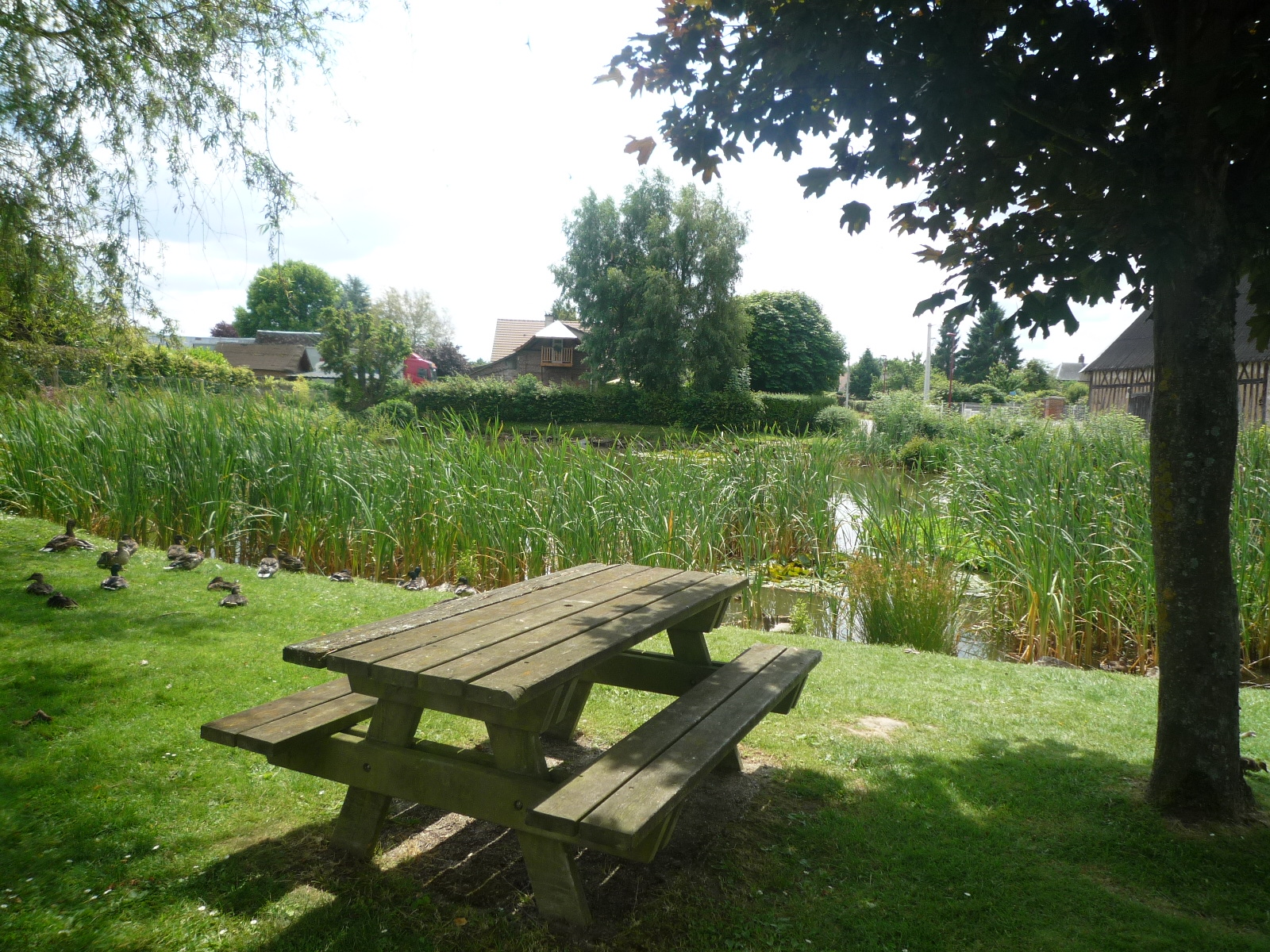 Aire de pique-nique d'Auzouville-sur-Ry
