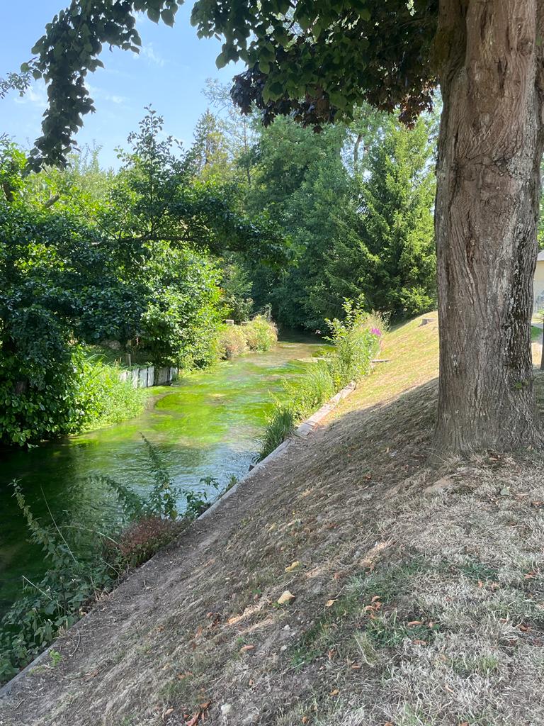 WhatsApp-Image-2022-07-18-at-15.04.18--3--2