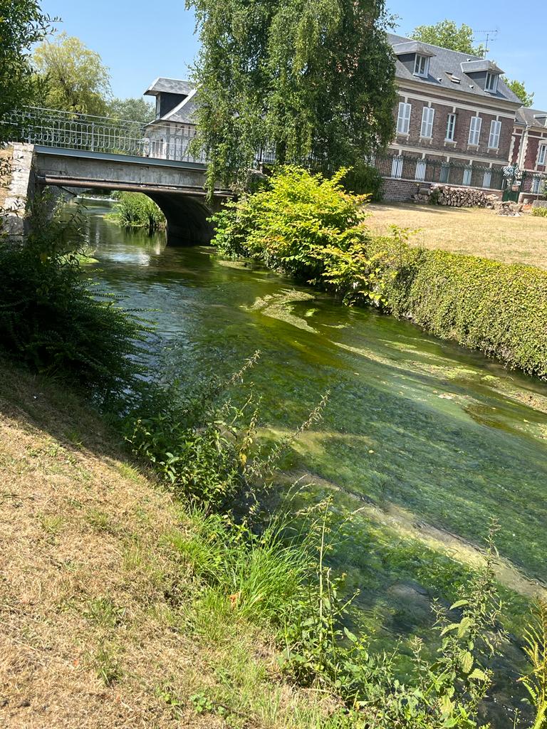 WhatsApp-Image-2022-07-18-at-15.04.18--4--3