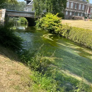 Aire de pique-nique de Ry