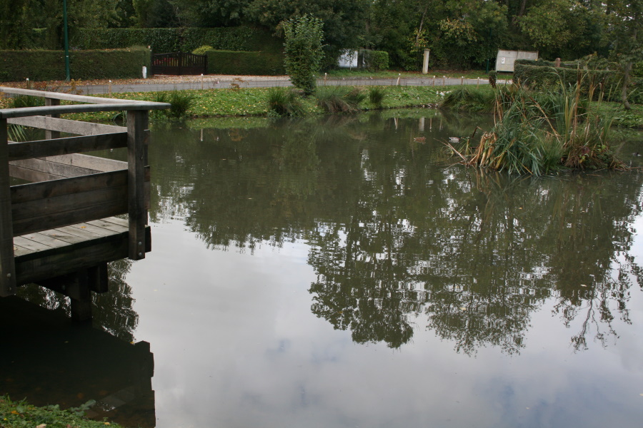 Aire-de-pique-nique-de-Bierville---2020----MSM--6-