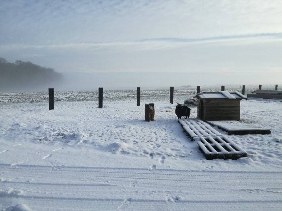 DERHILLE-CLERES--3--2