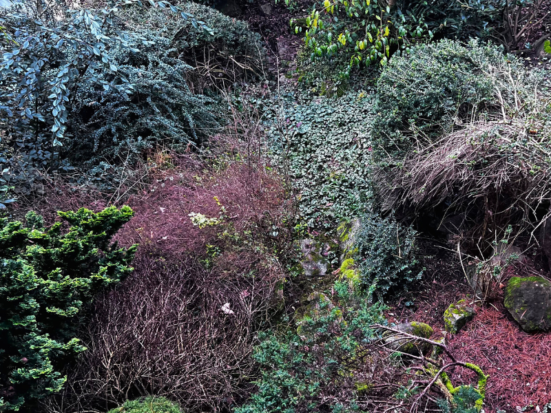 gite-l-arc-en-ciel-2025---credit-photo-OTNCV--18-