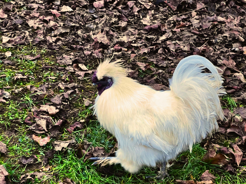 gite-l-arc-en-ciel-2025---credit-photo-OTNCV--2--2