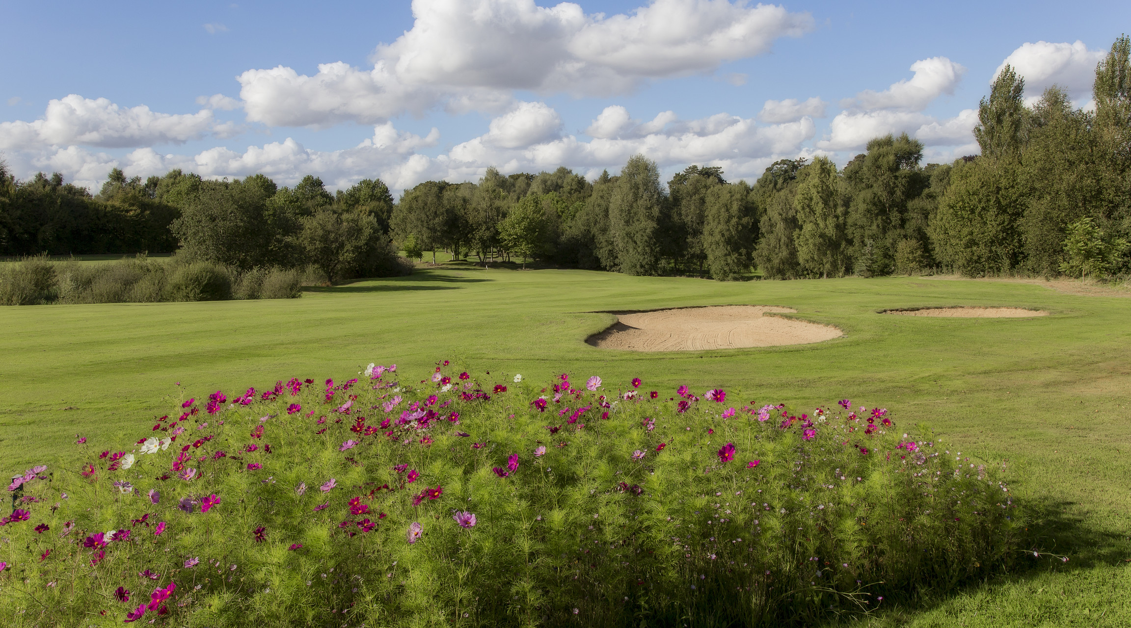 Garden-Golf-de-Rouen--76--2---A--Fabrice-Malard