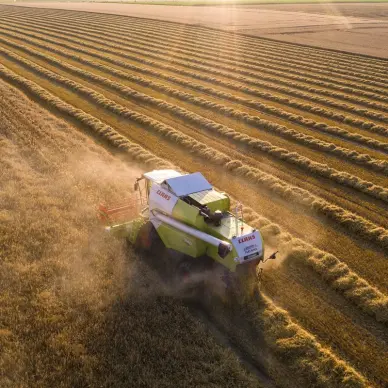 Les Terres de Jim 2025