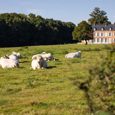 Les Terres de Jim 2025
