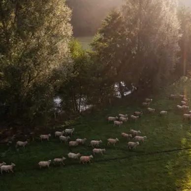 Les Terres de Jim 2025