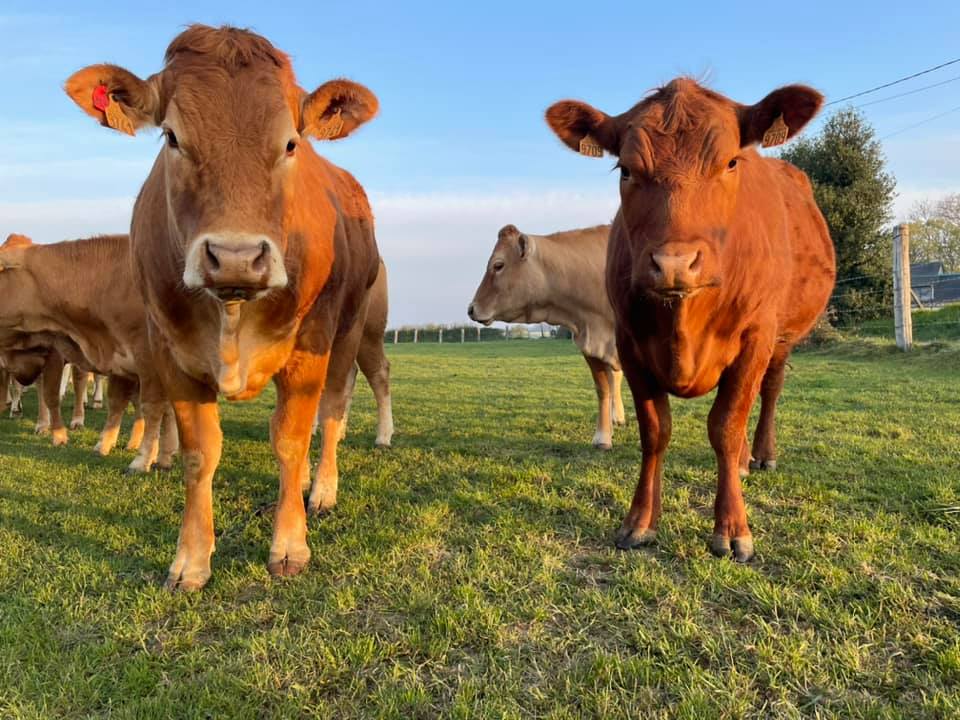 Programme Portes ouvertes 2025
