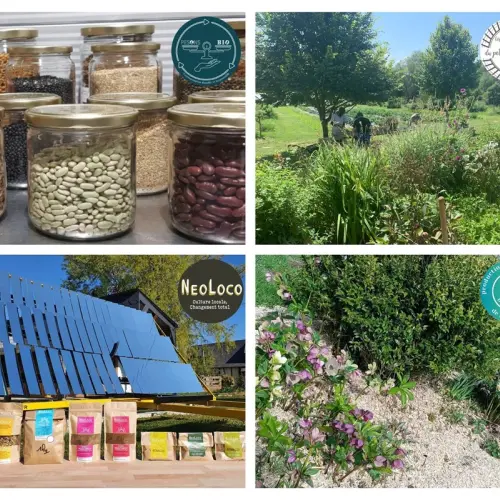 vos-informations-professionnelles-de-novembre-1731075656