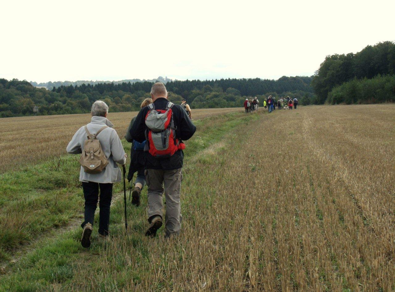 Circuit du Nid du Geai
