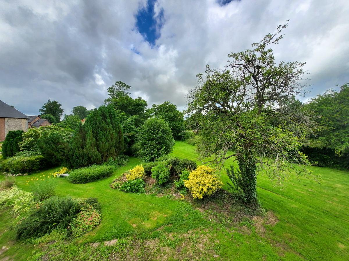 20210704-124424-900x1200