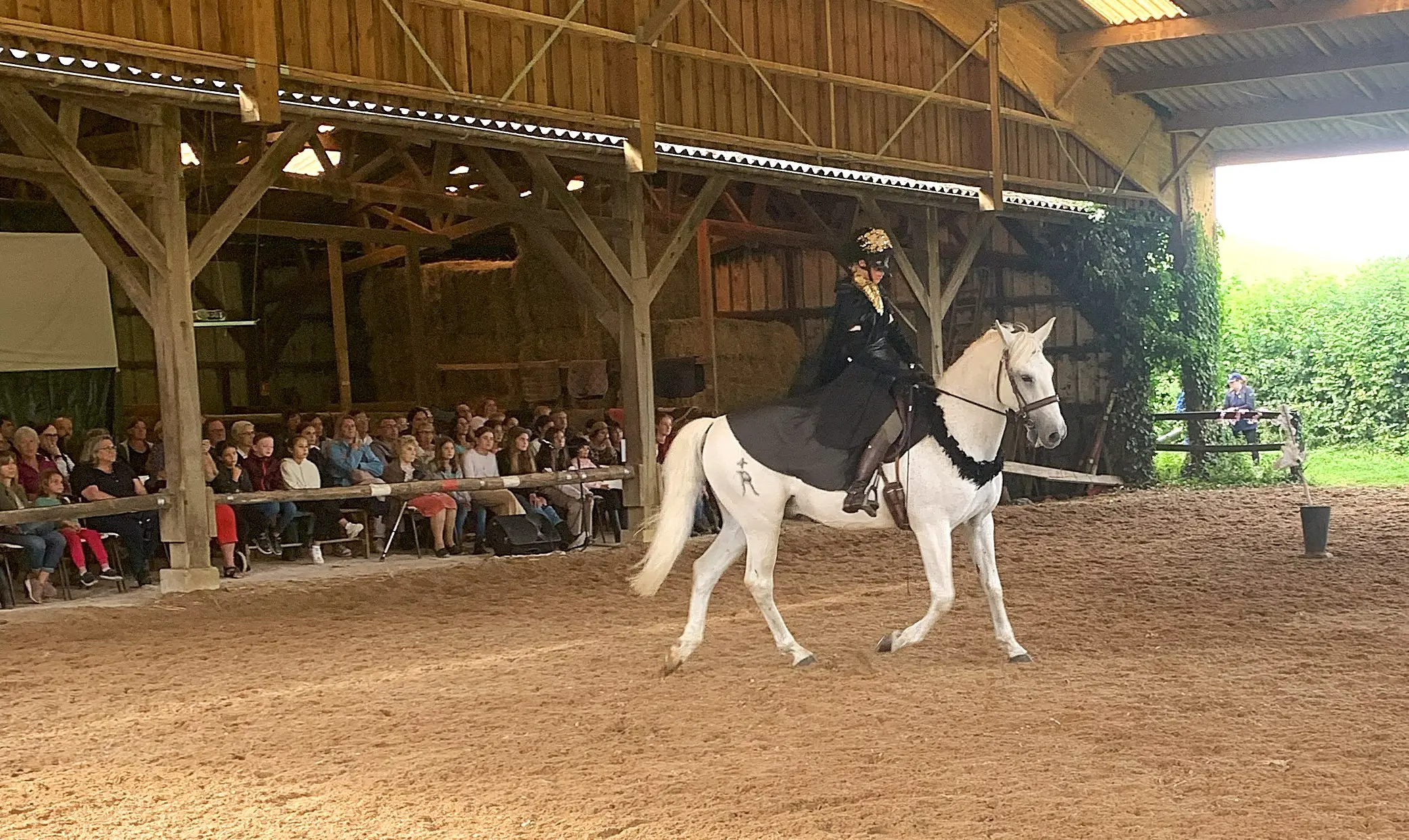 Séjourner au plus près des chevaux, dans une école de spectacle équestre