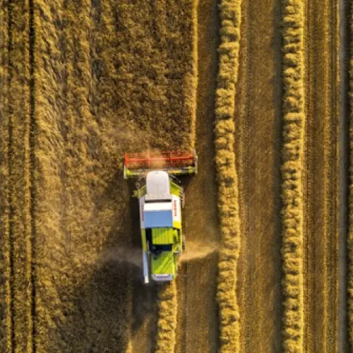 Producteur - EARL de la Fontaine - Martainville - 22.07.2021 - © Thomas Boivin
