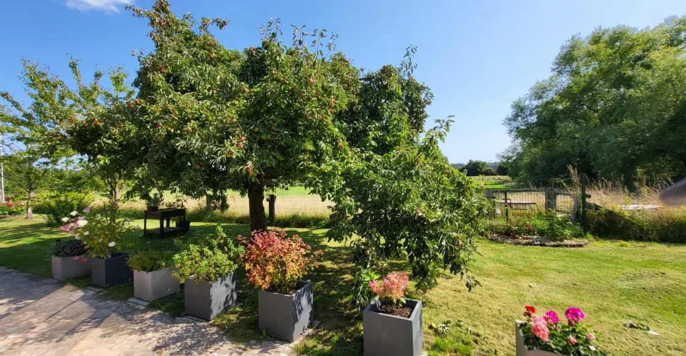 Le cœur sur la main - Jericho
