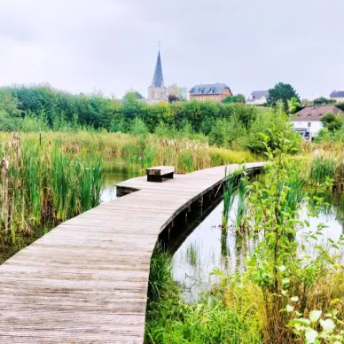 Espace de la Roselière