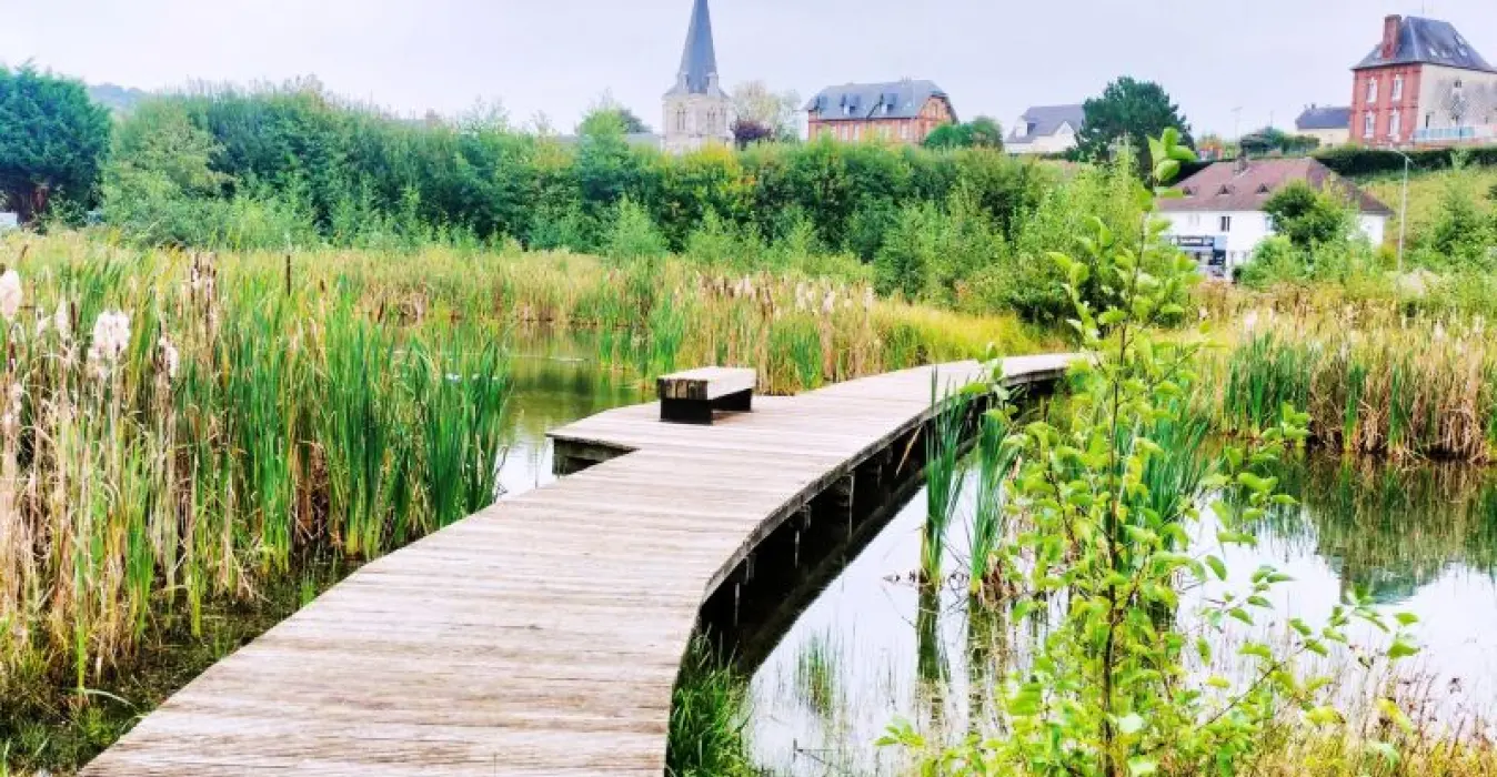 Espace de la Roselière
