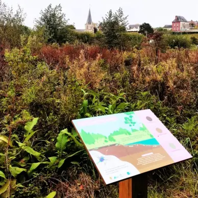 Espace de la Roselière