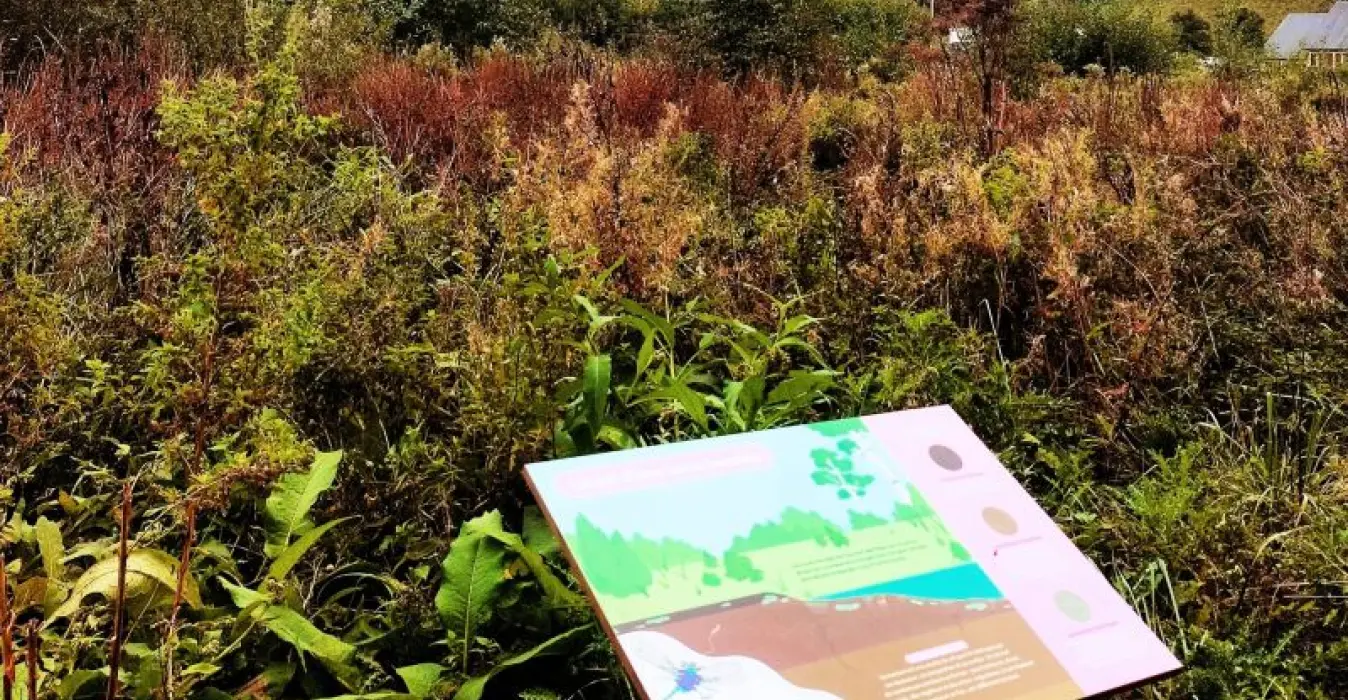 Espace de la Roselière
