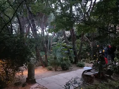 Nocturnes d'Agapanthe